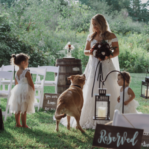 Braut auf ihrer Hochzeit mit Kindern und Hund